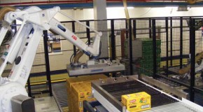 Cadbury Sheffield – robot palletising system