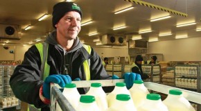 Dairy Crest improves loading bay safety with Salvo