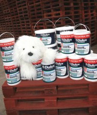 ipp_dulux