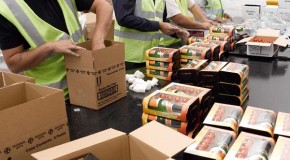 Widdowson Group Showcase logistics at its best at the Food and Drink Logistics Show