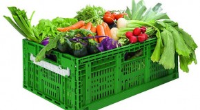 Eco fresh – freshness guaranteed